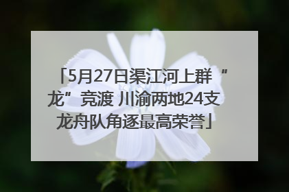 5月27日渠江河上群“龙”竞渡 川渝两地24支龙舟队角逐最高荣誉