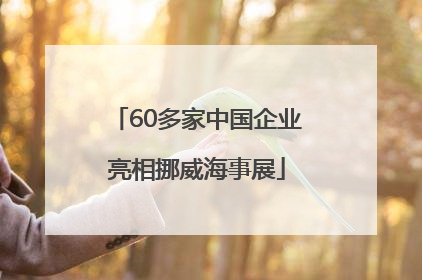 60多家中国企业亮相挪威海事展