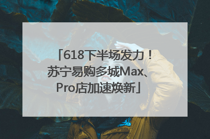 618下半场发力！苏宁易购多城Max、Pro店加速焕新