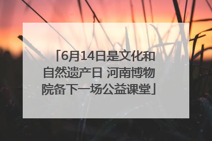6月14日是文化和自然遗产日 河南博物院备下一场公益课堂