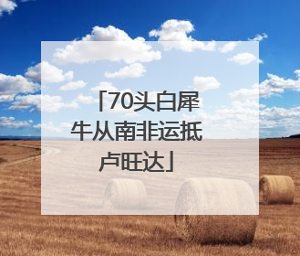 70头白犀牛从南非运抵卢旺达