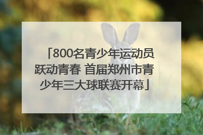 800名青少年运动员跃动青春 首届郑州市青少年三大球联赛开幕