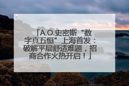 A.O.史密斯“数字真五恒”上海首发：破解平层舒适难题，招商合作火热开启！