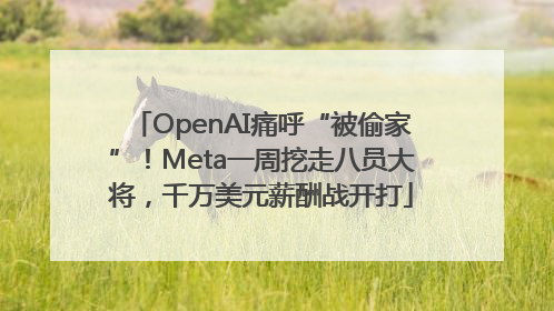 OpenAI痛呼“被偷家”！Meta一周挖走八员大将，千万美元薪酬战开打